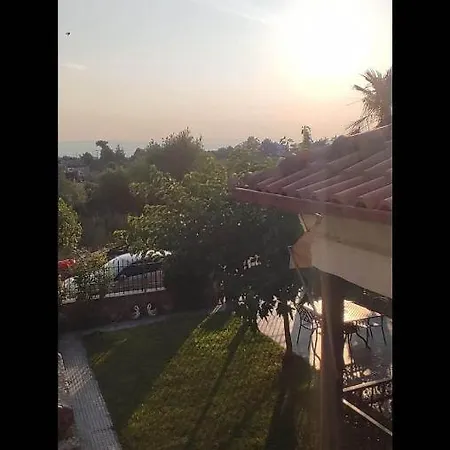 Summer Panorama *